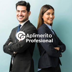 APLIMERITO PERFIL PROFESIONAL