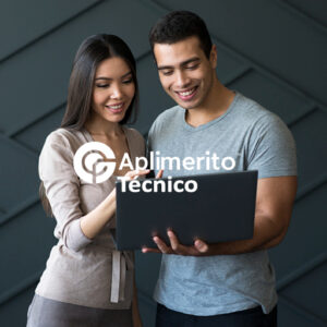 APLIMERITO PERFIL TÉCNICO